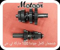 شنجمان كامل جوندا 100 ماركة تي جي