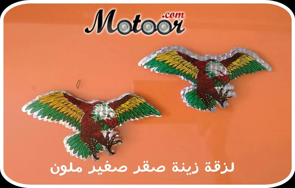 لزقة زينة صقر صغير ملون