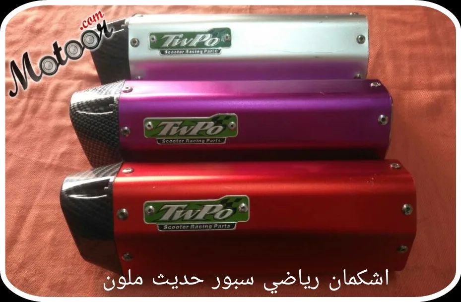 اشكمان رياضي سبور حديث ملون