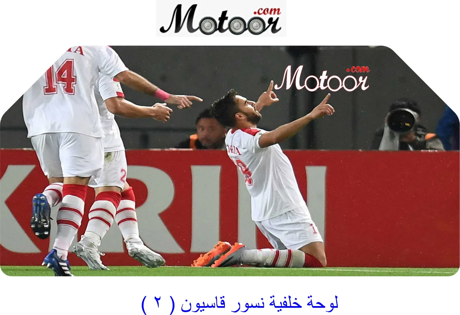 لوحة خلفية نسور قاسيون 2