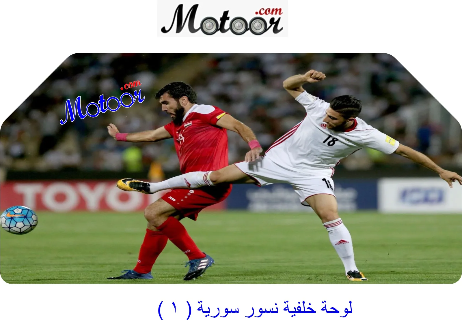 لوحة خلفية نسور سورية 1