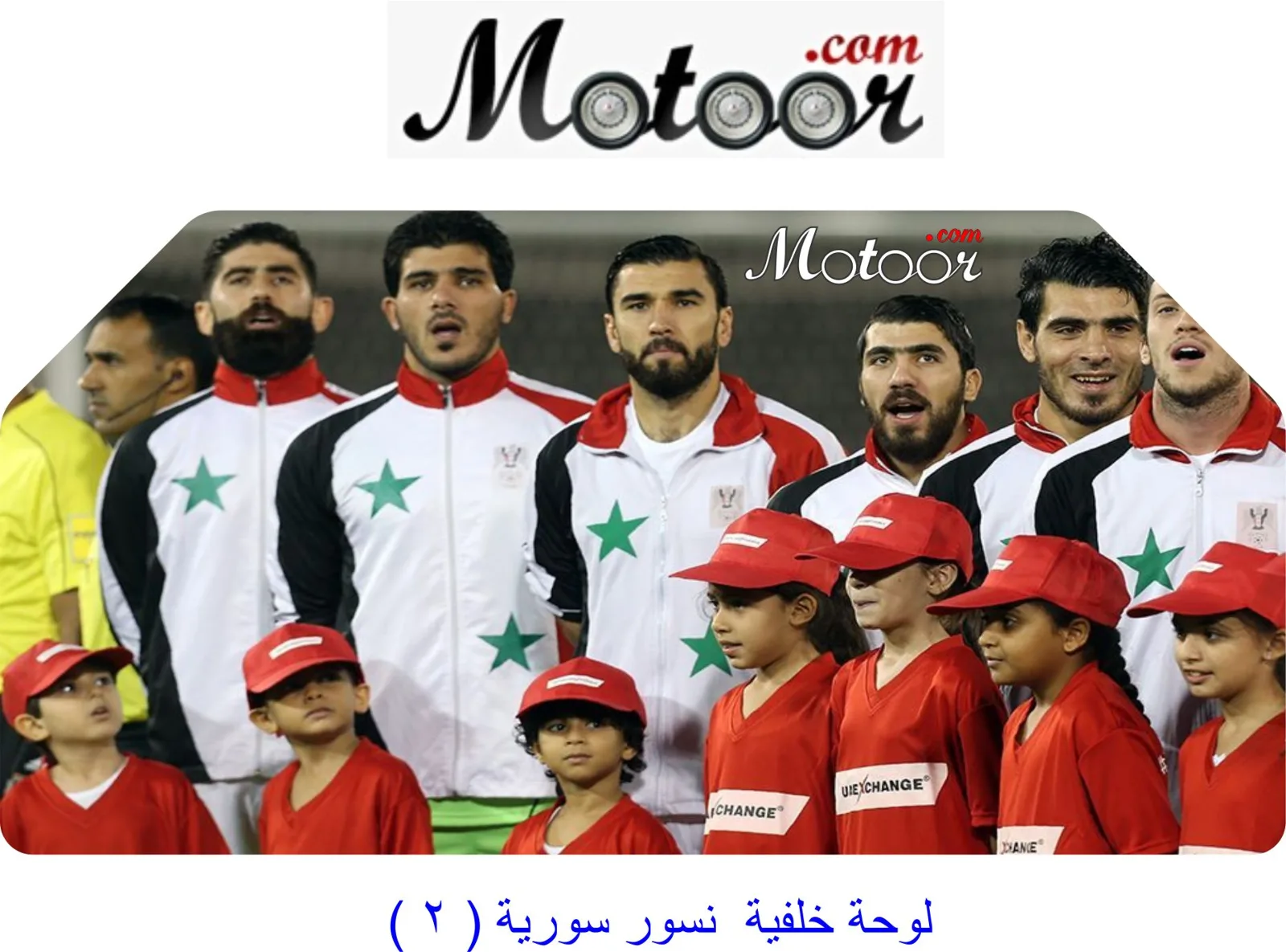 لوحة خلفية نسور سورية 2