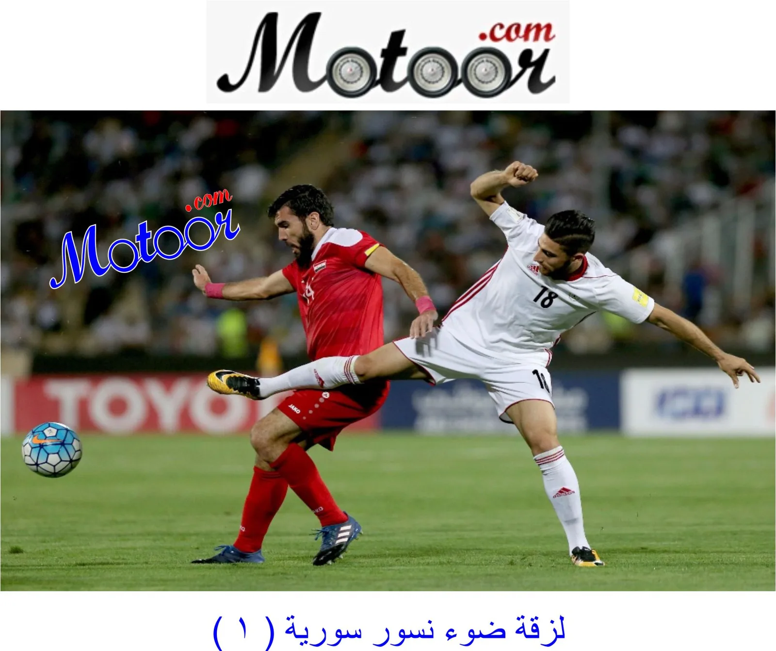لزقة ضوء نسور سورية 1