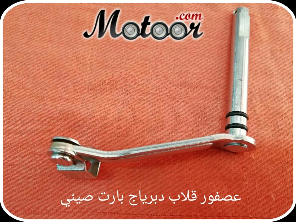 عصفور قلاب دبرياج بارت صيني