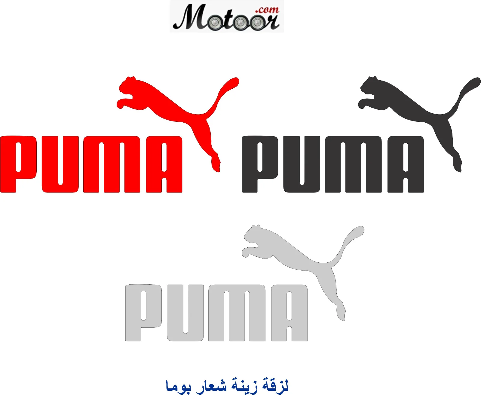 لزقة زينة شعار بوما