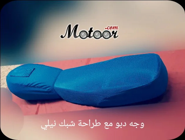 وجه دبو مع طراحة شبك نيلي