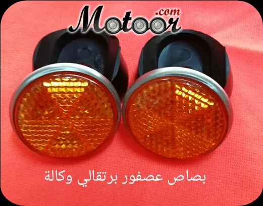 بصاص ملقط برتقالي وكالة