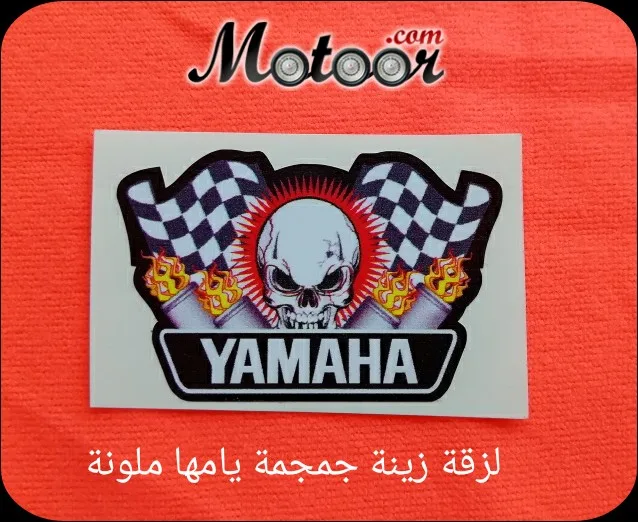 لزقة زينة جمجمة يامها ملونة