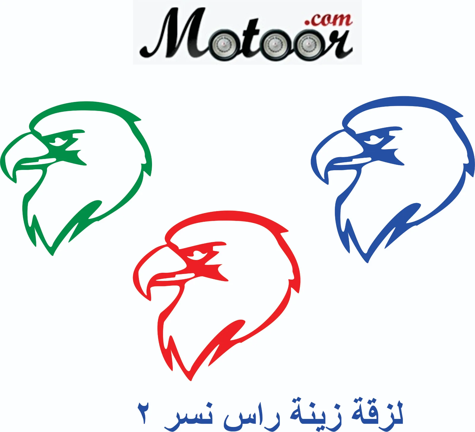 لزقة زينة راس نسر 2