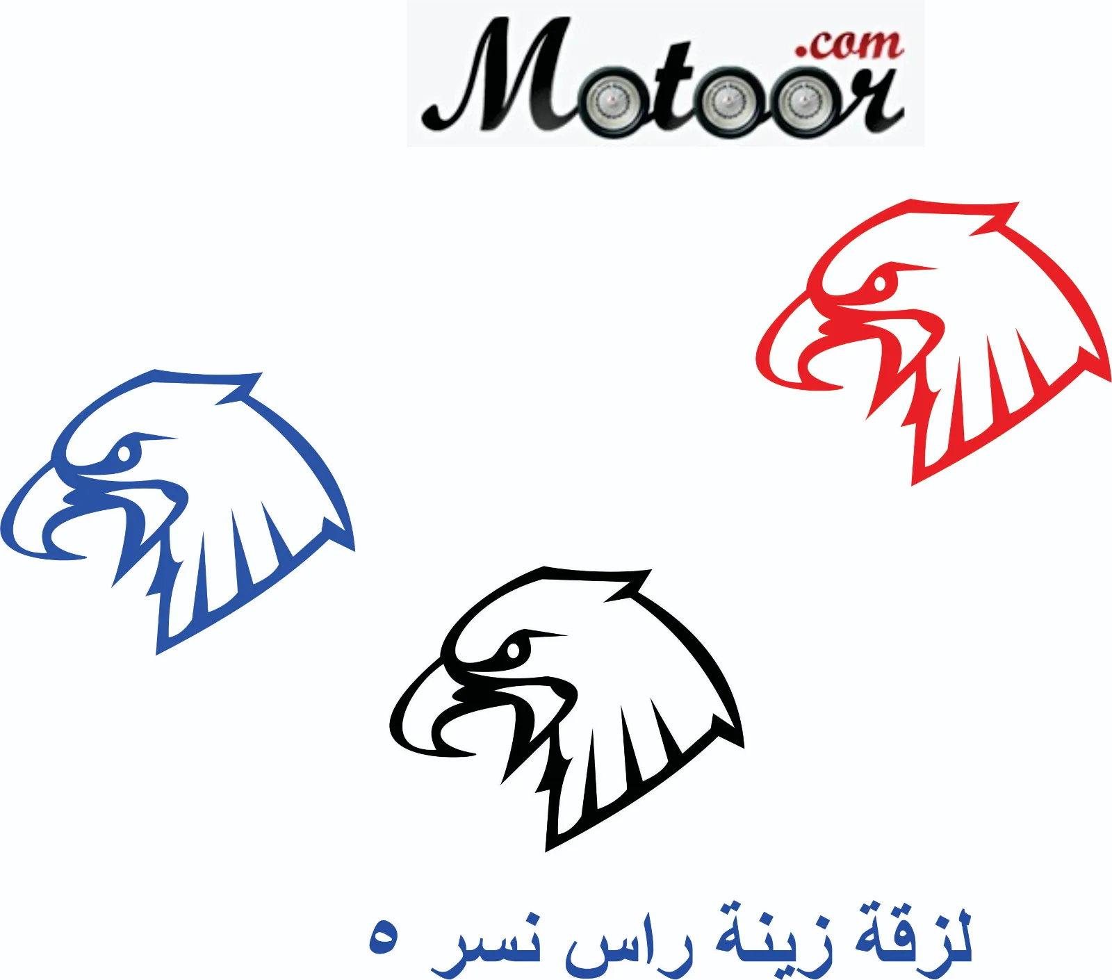 لزقة زينة راس نسر 5