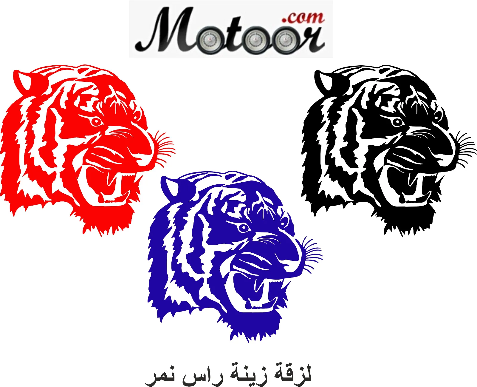 زقة زينة راس نمر