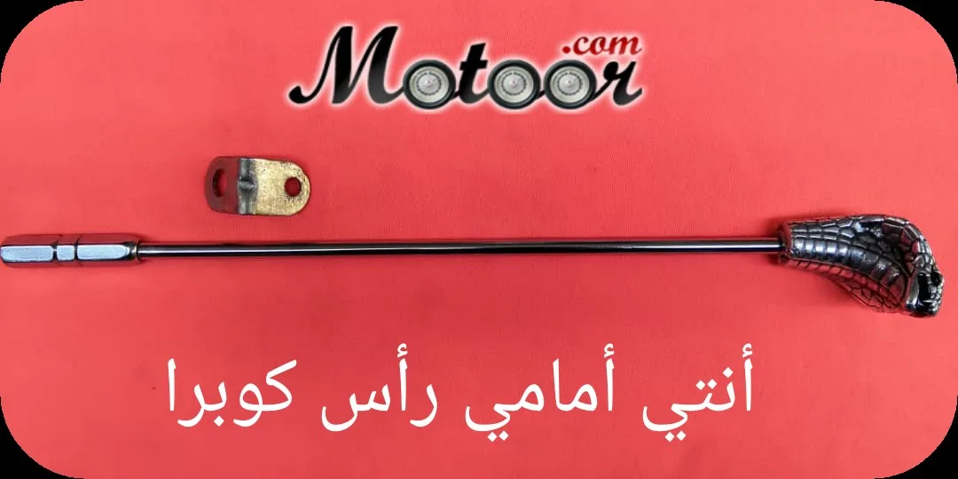 أنتي أمامي راس كوبرا