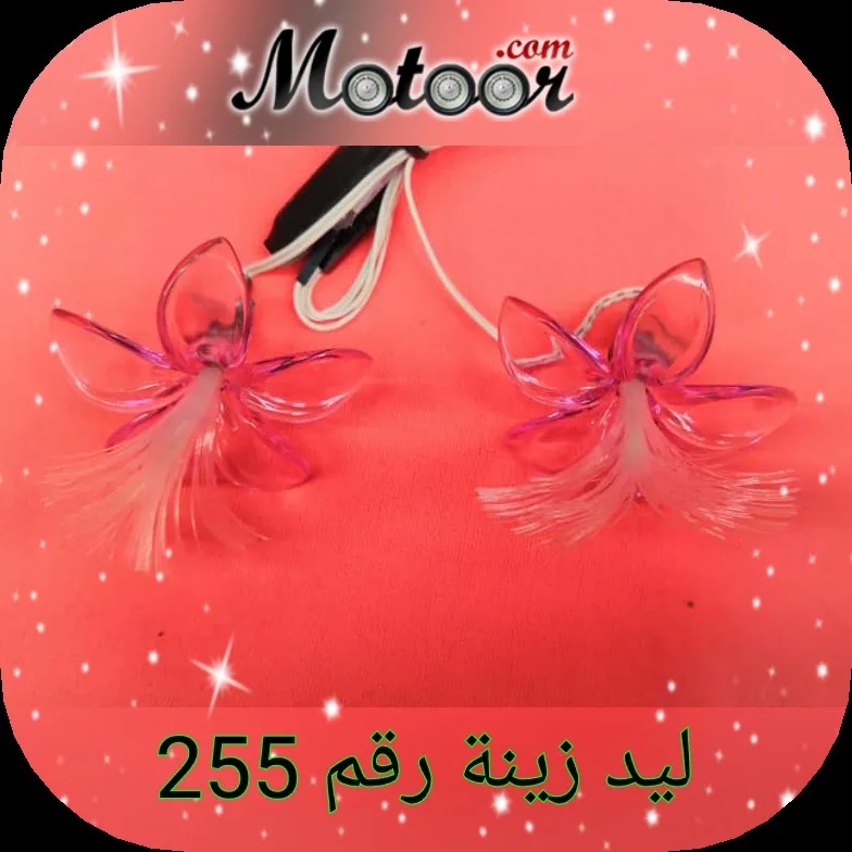 ليد زينة رقم 255