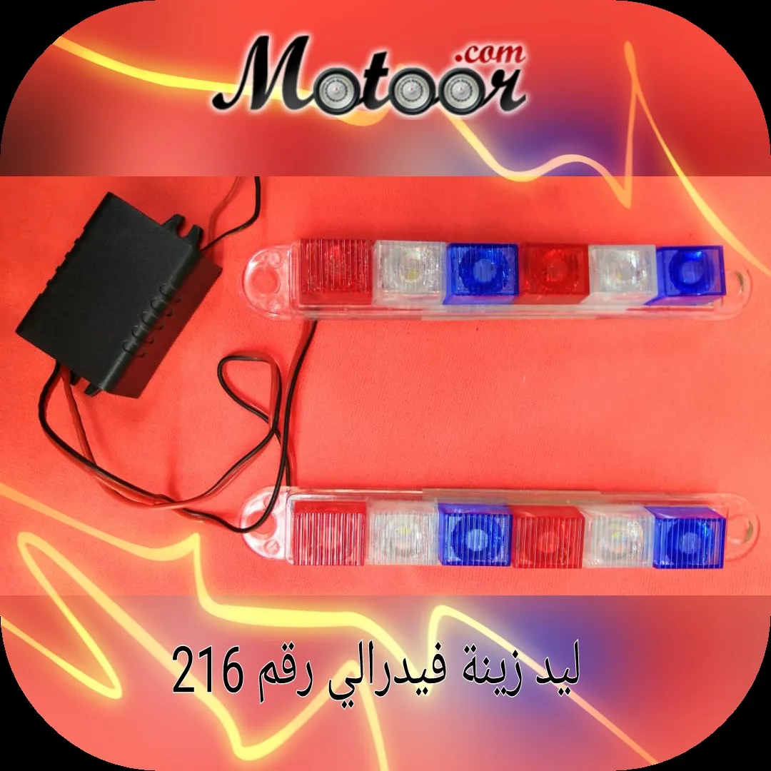 ليد زينة فيدرالي رقم 216
