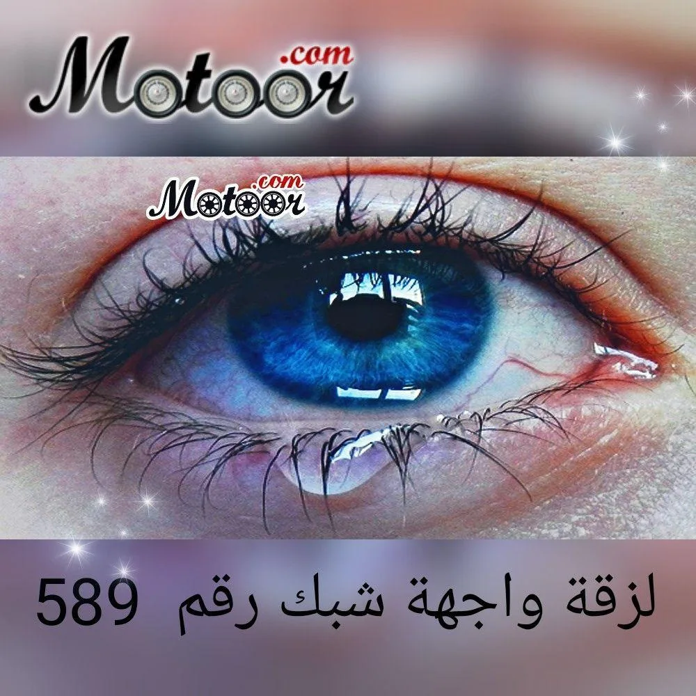 لزقة واجهة شبك رقم 589