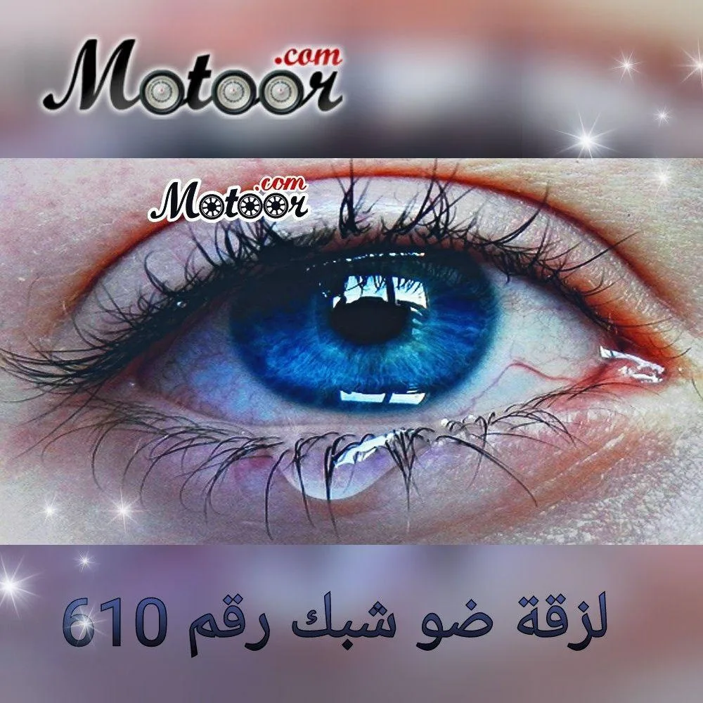 لزقة ضو شبك رقم 610