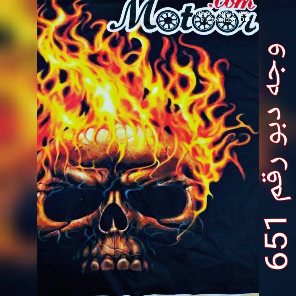 وجه دبو رقم 651
