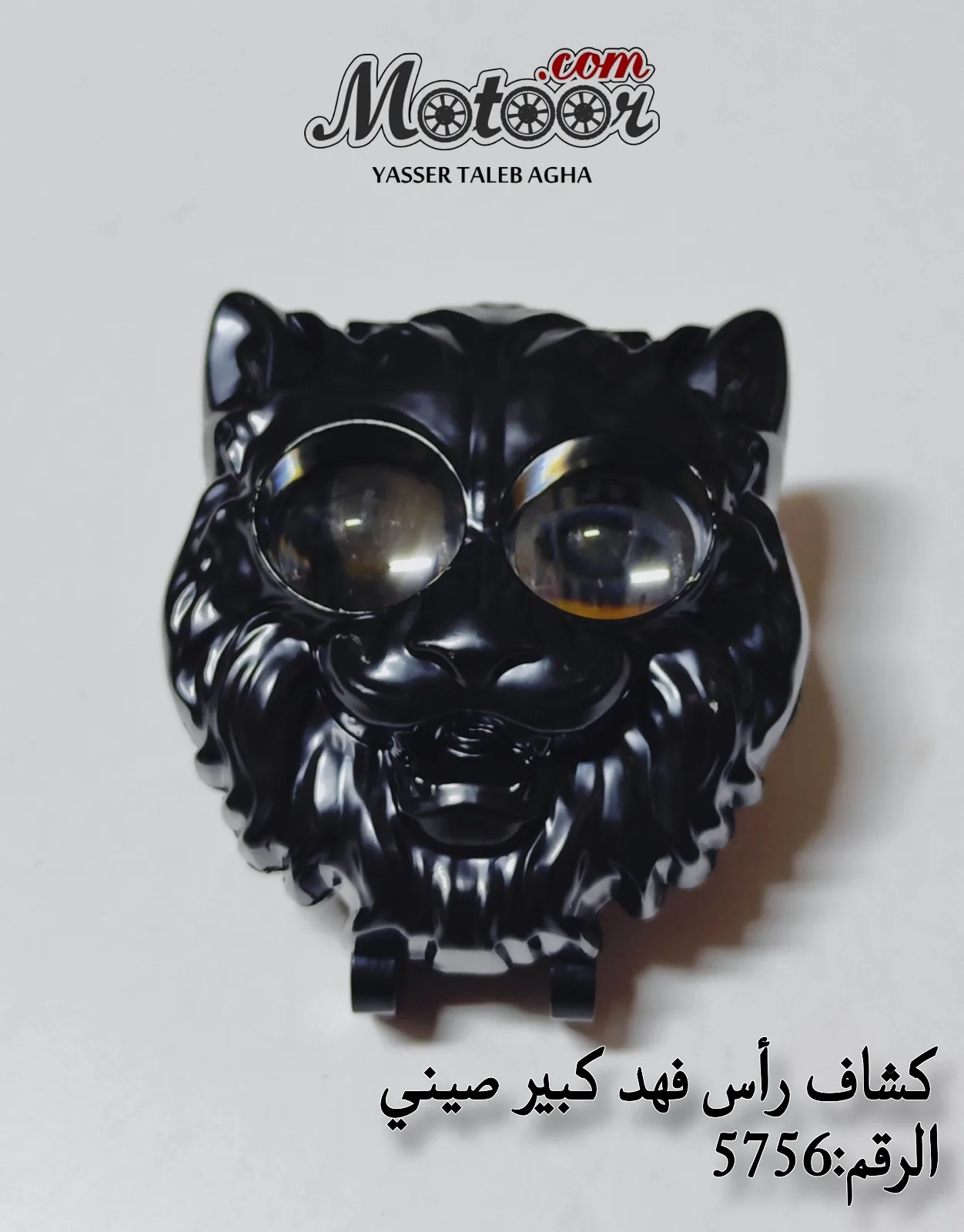 كشاف رأس الفهد كبير صيني رقم 5756