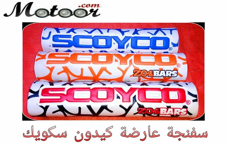 سفنجة عارضة كيدون سكويك