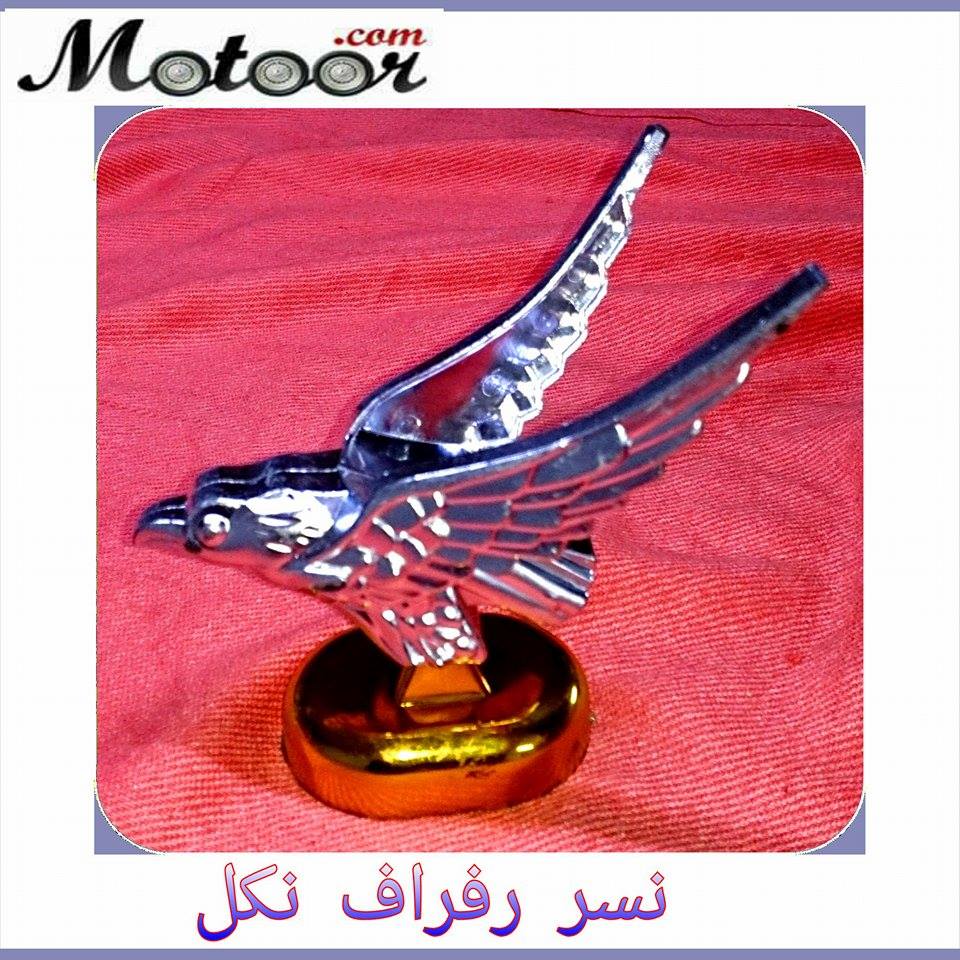 نسر رفراف نكل