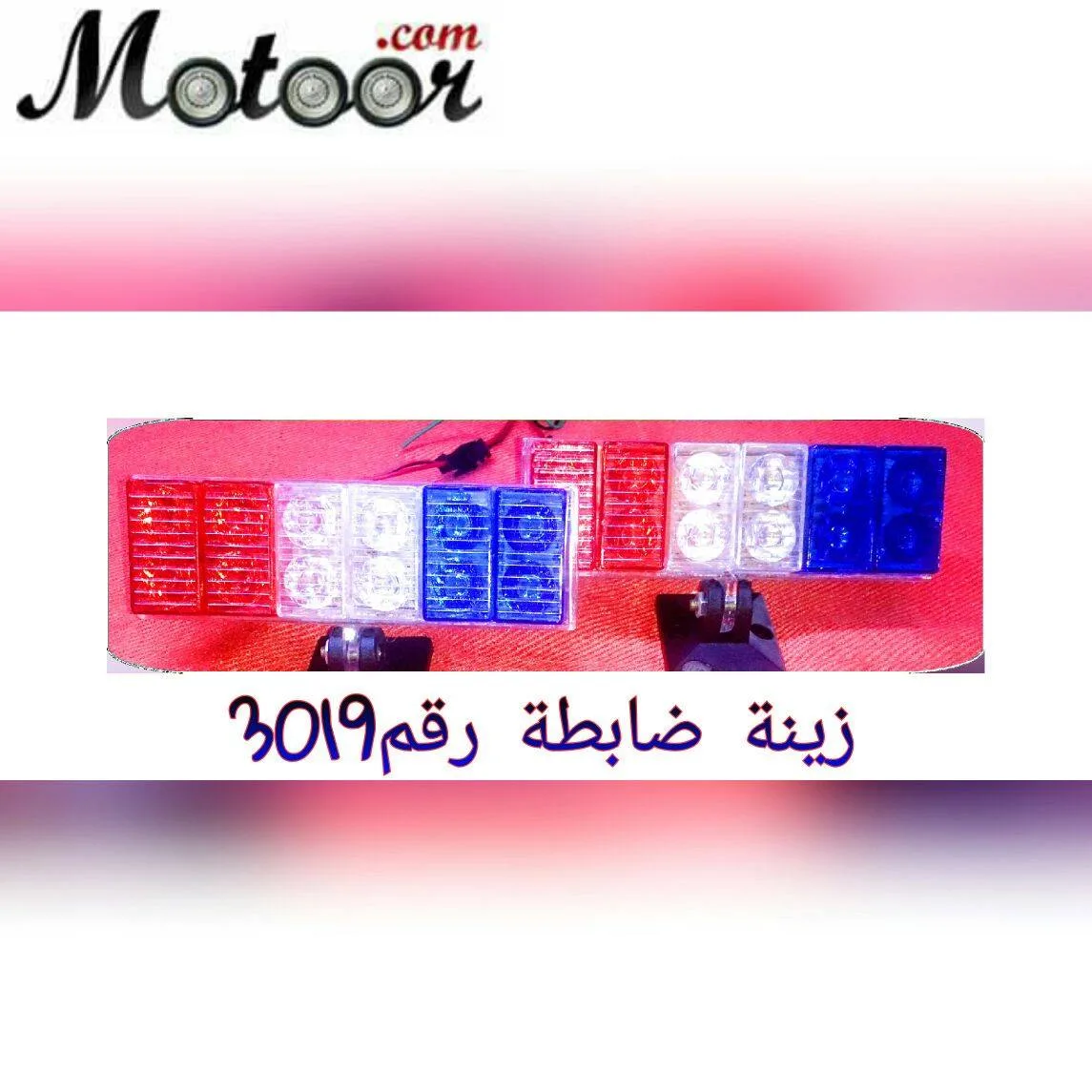 زينة ضابطة رقم 3019