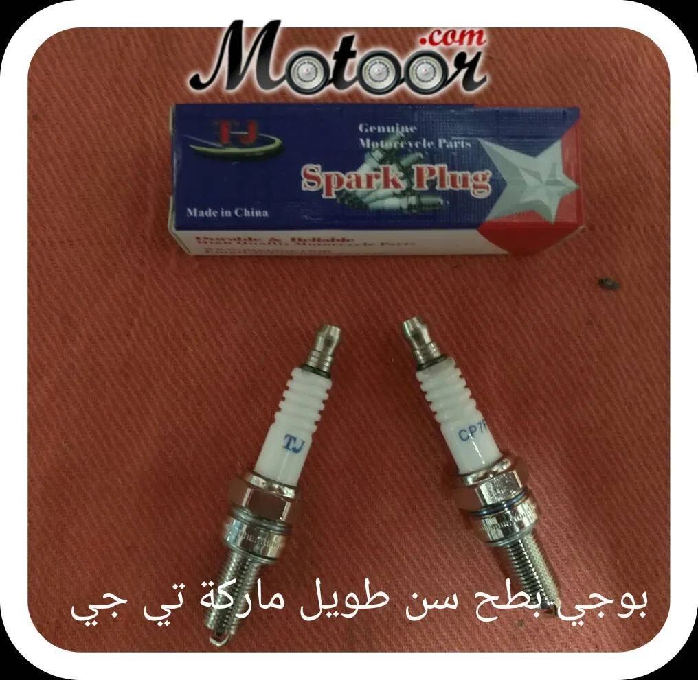 بوجي بطح سن طويل ماركة تي جي