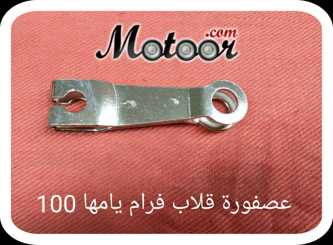 عصفورة قلاب فرام يامها 100