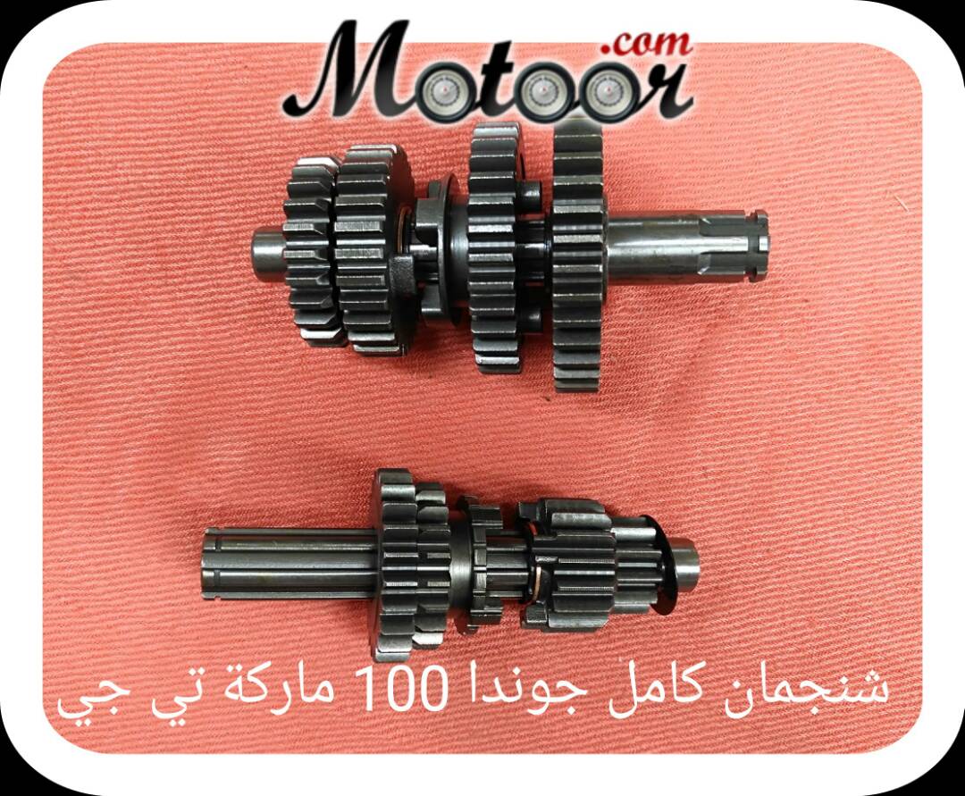شنجمان كامل جوندا 100 ماركة تي جي