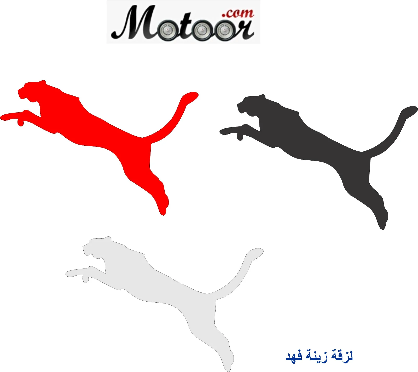 لزقة زينة فهد 2