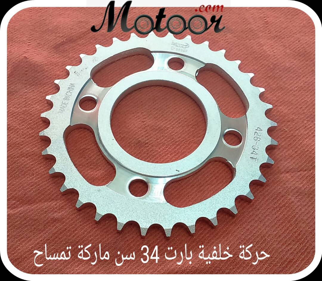 حركة خلفية بارت 34 سن ماركة تمساح