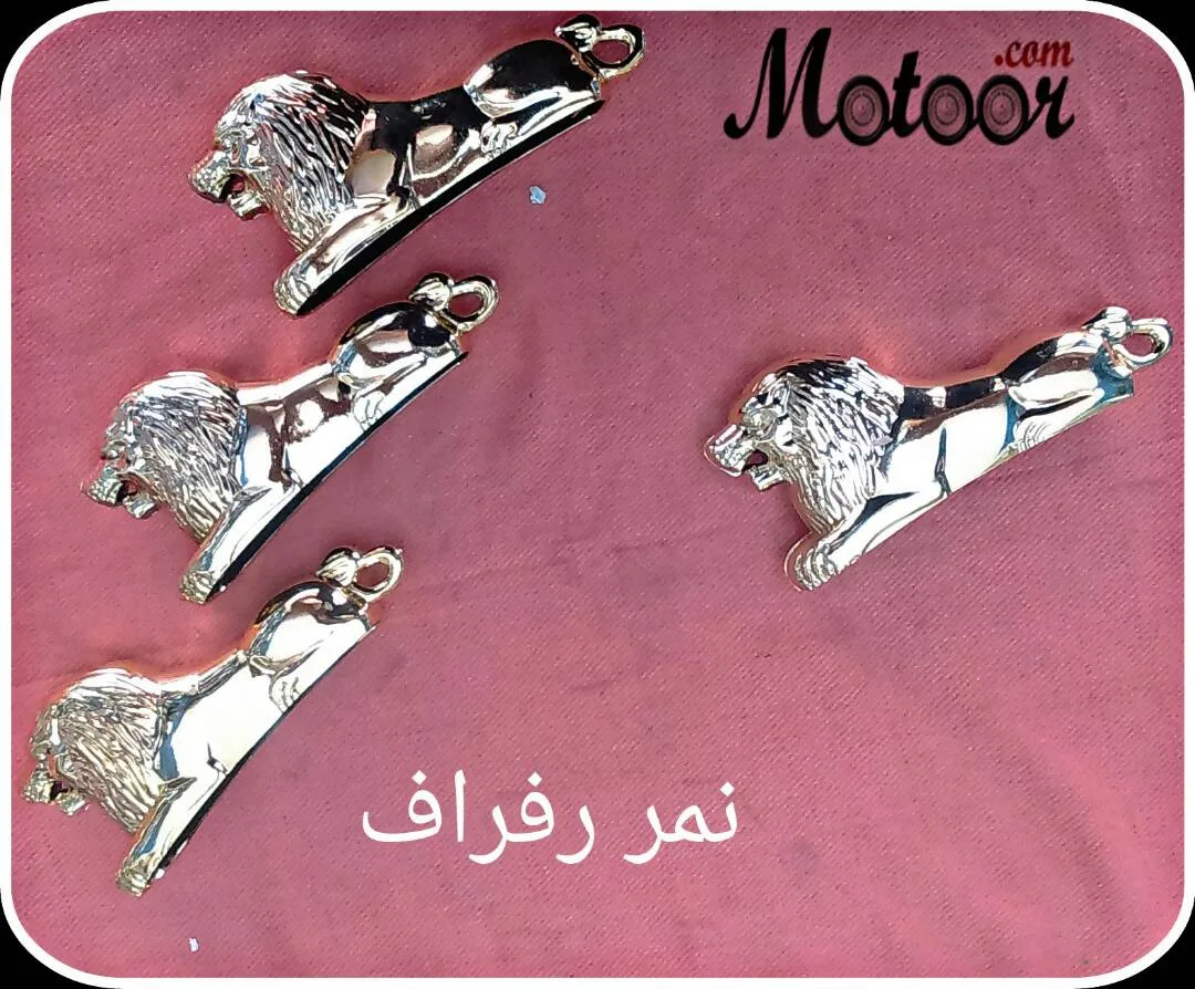  زينة نمر رفراف