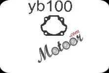 yb 100جوان